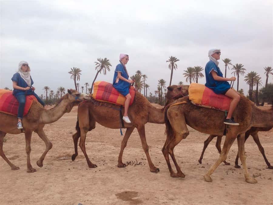 From Marrakech: Camel Ride, Quad Bike & Spa Full-Day Trip - A Marrakech day trip that strings together three very different moods