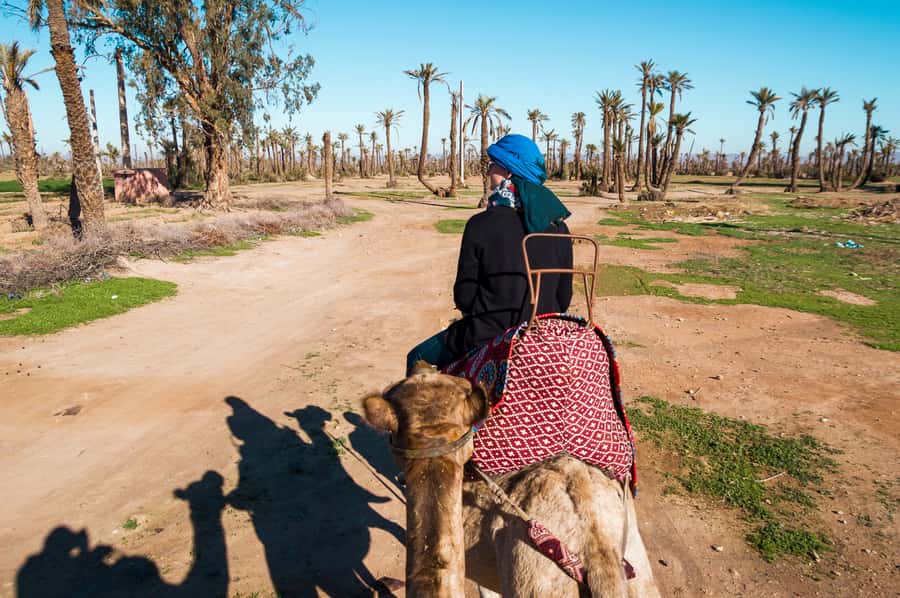From Marrakech: Camel Ride, Quad Bike & Spa Full-Day Trip - The Berber tea and village stop: where the day gets meaning