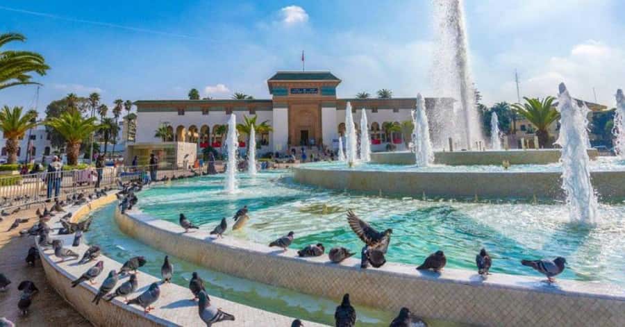 From Marrakech: Casablanca Day Trip with Transfer - The Marrakech to Casablanca Drive: Build Your Day Around the Time