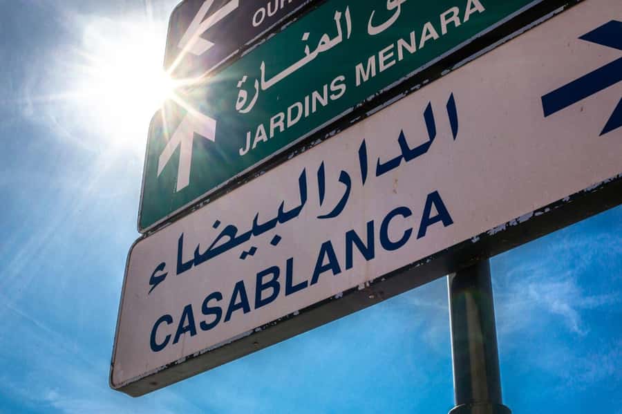 From Marrakech: Casablanca Day Trip with Transfer - Who Should Book This Day Trip