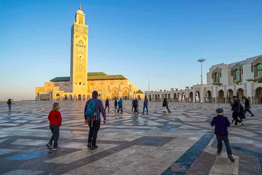 From Marrakech: Casablanca Tour & Hassan II Mosque Visit - Marrakech pickup and the highway break you’ll thank yourself for