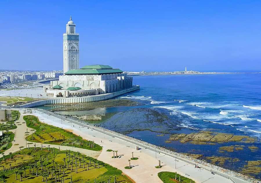 From Marrakech: Casablanca Tour with Hassan II Mosque Visit - The Small Details That Consistently Get Praised