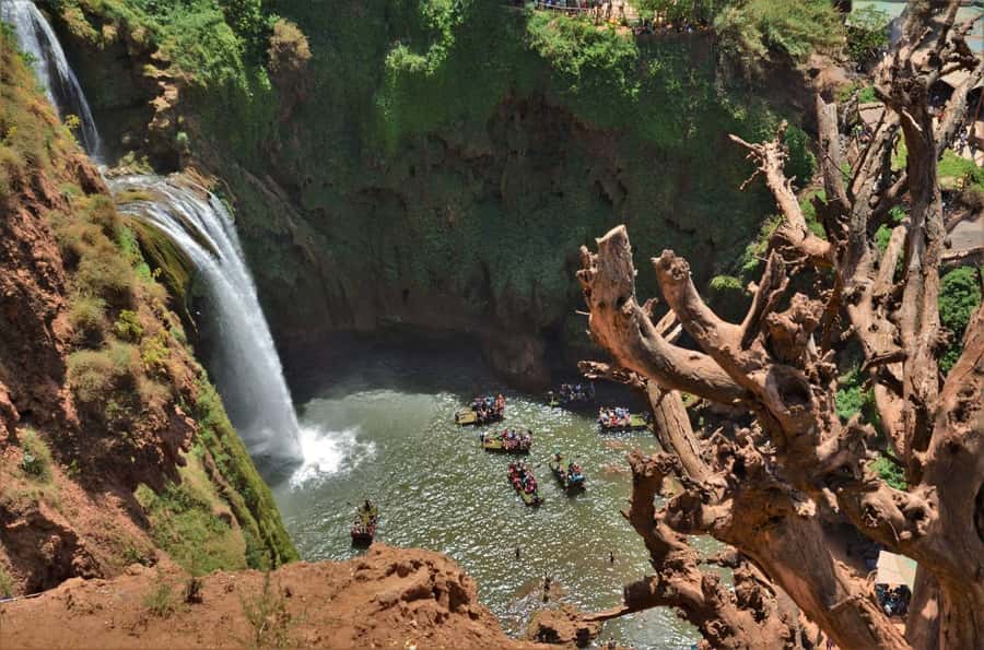 From Marrakech: Day Tour to Ouzoud Waterfalls - Who should book, and who should skip the stair time