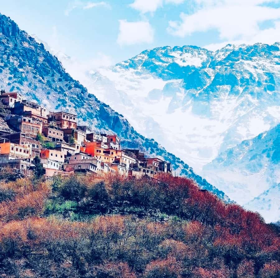From Marrakech: Day Trip to Anima Garden and Imlil Valley - Key highlights worth your time