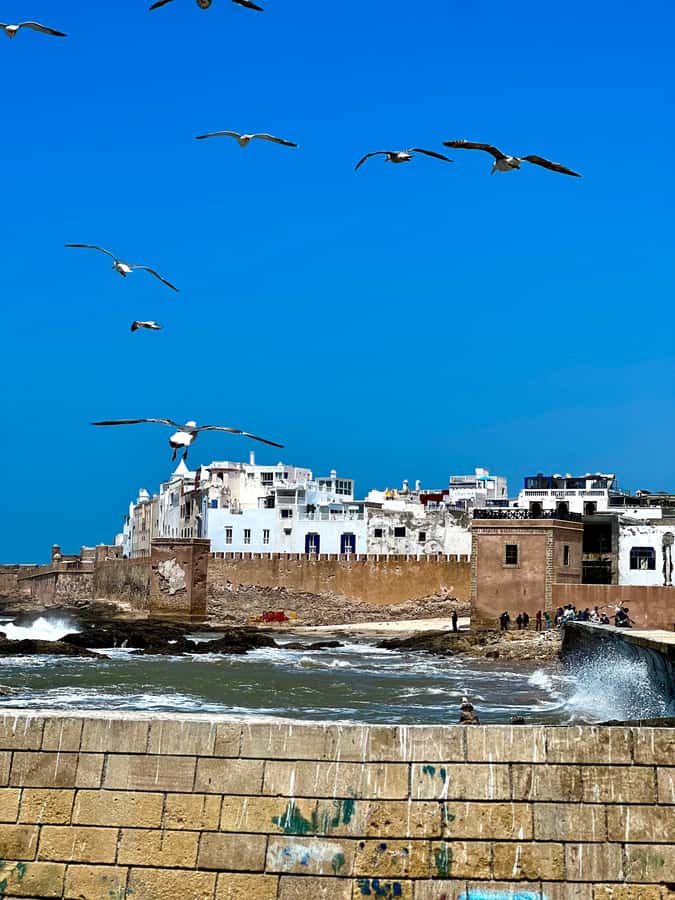 From Marrakech: Day Trip to Essaouira with Transfers - Why This Essaouira Day Trip Works So Well