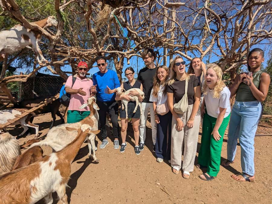 From Marrakech: Day Trip to Essaouira with Transfers - Price, Value, and What You Should Budget