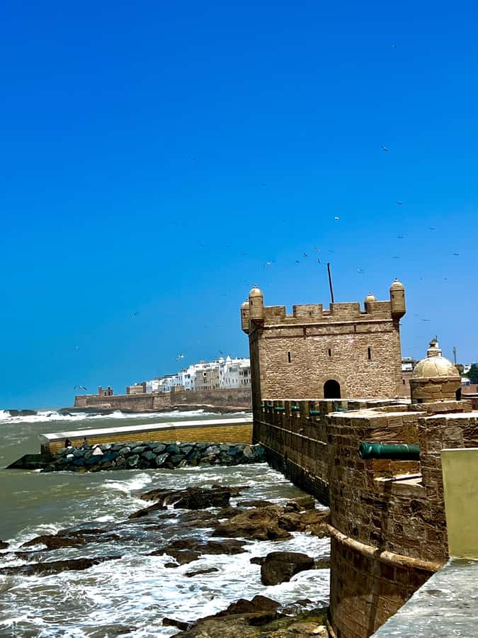 From Marrakech: Day Trip to Essaouira with Transfers - Who This Tour Suits (and Who Might Find It Too Tight)