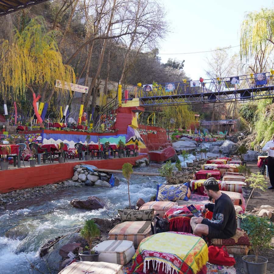 From Marrakech: Day Trip to Ourika Valley with Waterfalls - Berber village stop: mint tea, a traditional house, and real routines
