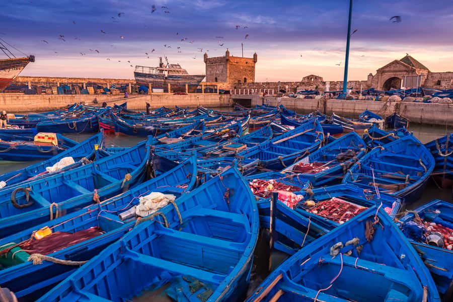 From Marrakech: Essaouira & Atlantic Coast Full-Day Trip - Skala du Port and 16th-century ramparts, the best ocean photos are on your feet
