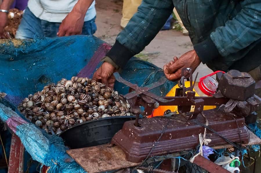 From Marrakech: Essaouira & Atlantic Coast Full-Day Trip - Fishing port lunch, fresh seafood in the real workplace setting
