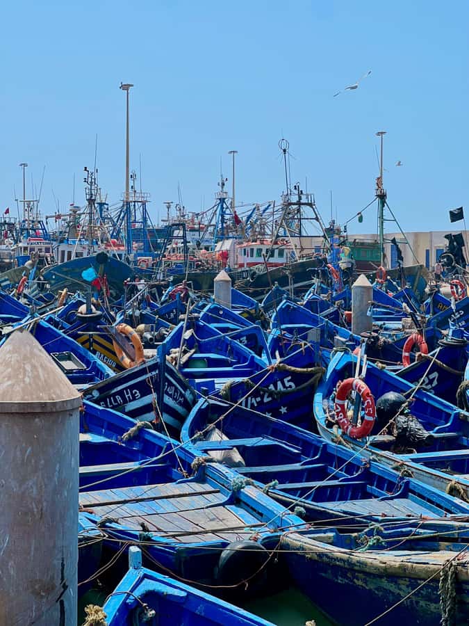 From Marrakech: Essaouira Coastal City Day Trip - Key things that make this trip worth your time