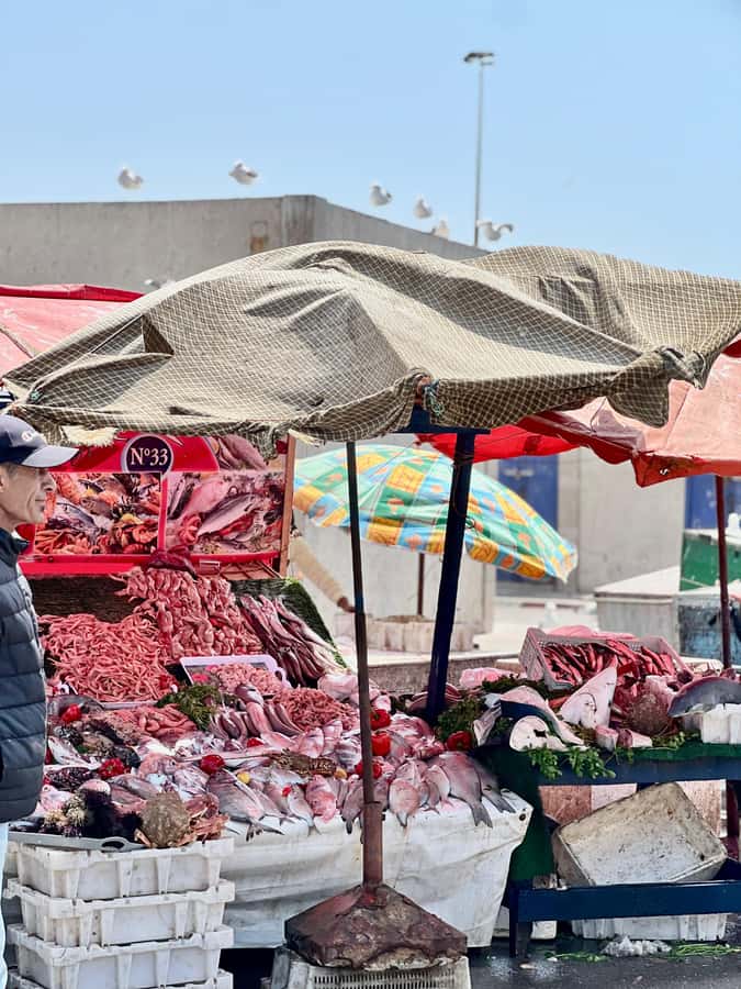 From Marrakech: Essaouira Coastal City Day Trip - Drivers and guides that make the day trip feel easy
