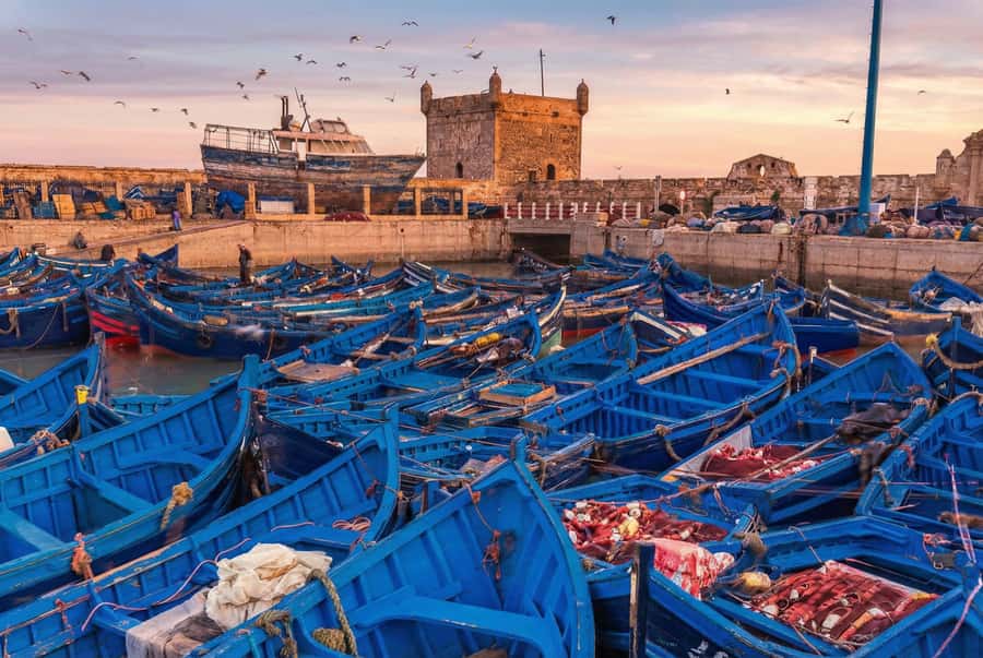 From Marrakech: Essaouira Coastal Escape with Lunch - Marrakech to Essaouira by A/C van, and why the ride matters