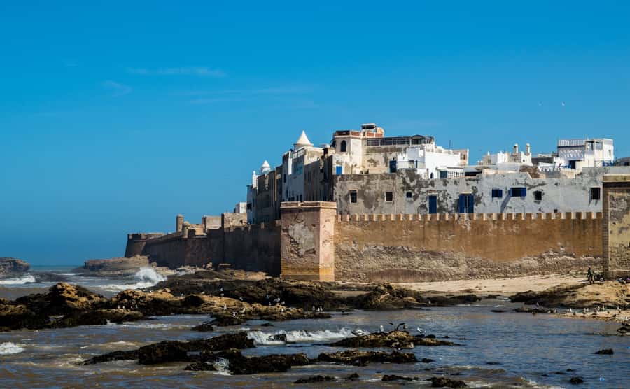 From Marrakech: Essaouira Coastal Escape with Lunch - Free time in Essaouira: harbor lunch, shopping, and beach walking