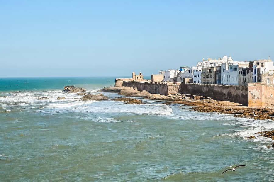 From Marrakech: Essaouira Day Tour with Optional Activities - Drivers and the Comfort Factor That People Actually Notice