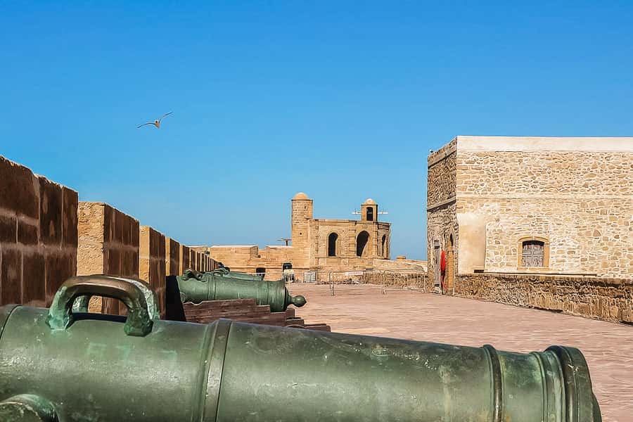 From Marrakech: Essaouira Day Tour with Optional Activities - The Argan Oil Factory Visit: What You Get in 20 Minutes