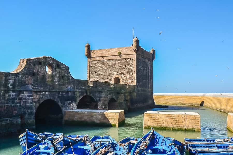 From Marrakech: Essaouira Day Tour with Optional Activities - Markets and the Jeweler’s Quarter: Explore Without Feeling Rushed