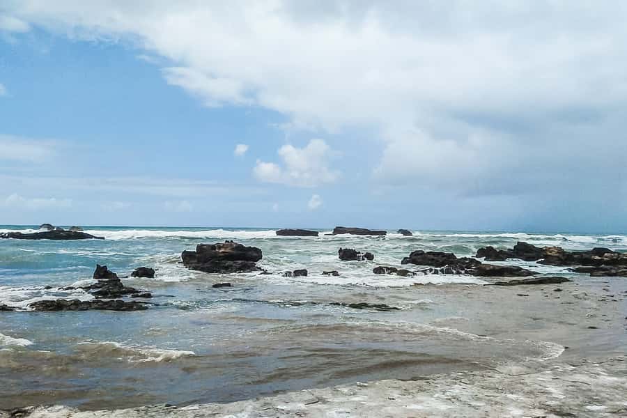 From Marrakech: Essaouira Day Tour with Optional Activities - Lunch by the Port: Fish Time That Fits the Day