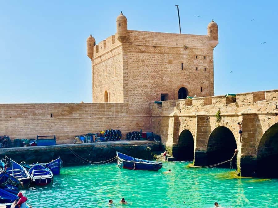 From Marrakech: Essaouira Day Trip with Beach Activities - Why Essaouira Works So Well as a Marrakech Day Trip
