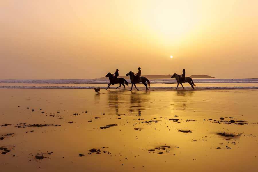 From Marrakech: Essaouira day Trip with camel, horse & quad - What to do to get the best day
