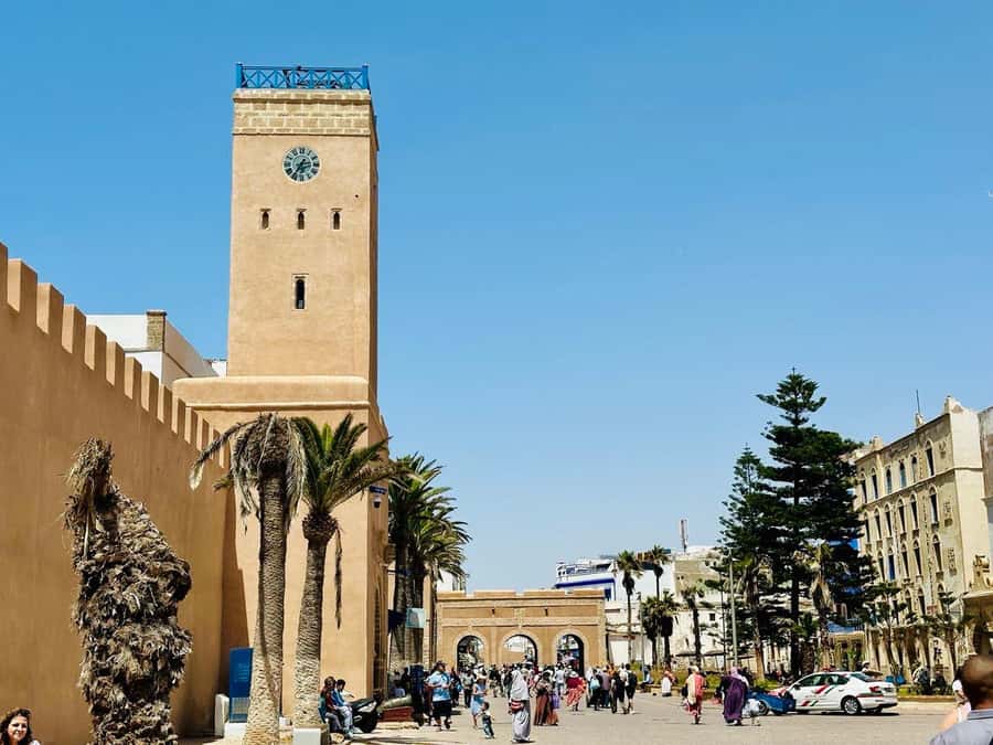 From Marrakech: Essaouira day Trip with camel, horse & quad - Entering Essaouira: port views, bronzes, and seafood energy