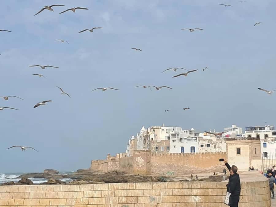 From Marrakech: Essaouira day Trip with camel, horse & quad - Old medina time: workshops, weaving, and jewelry browsing