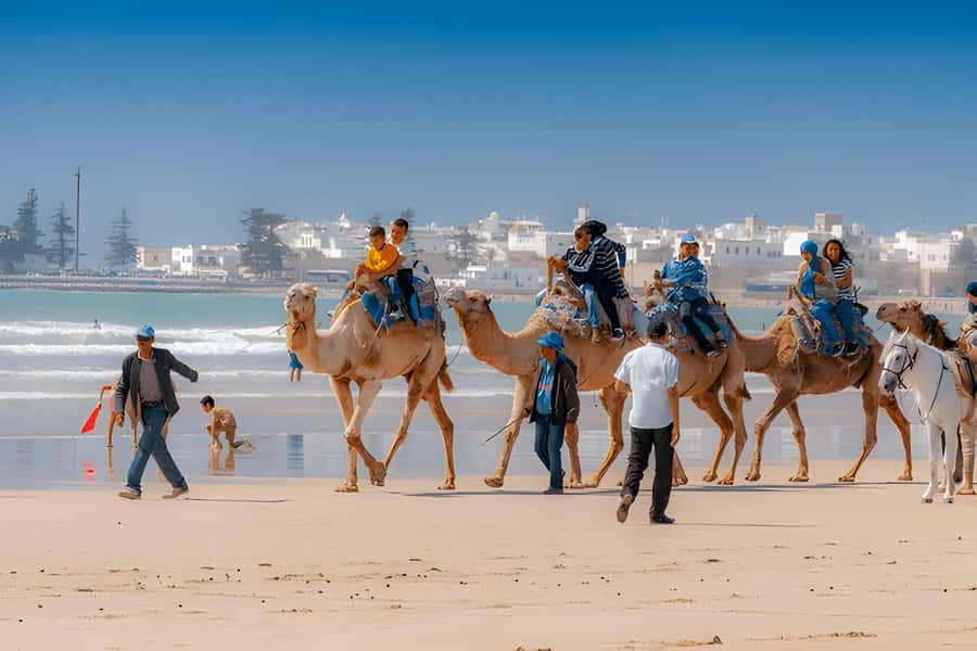 From Marrakech: Essaouira day Trip with camel, horse & quad - Camel, horse, and quad options: fun, but plan your time