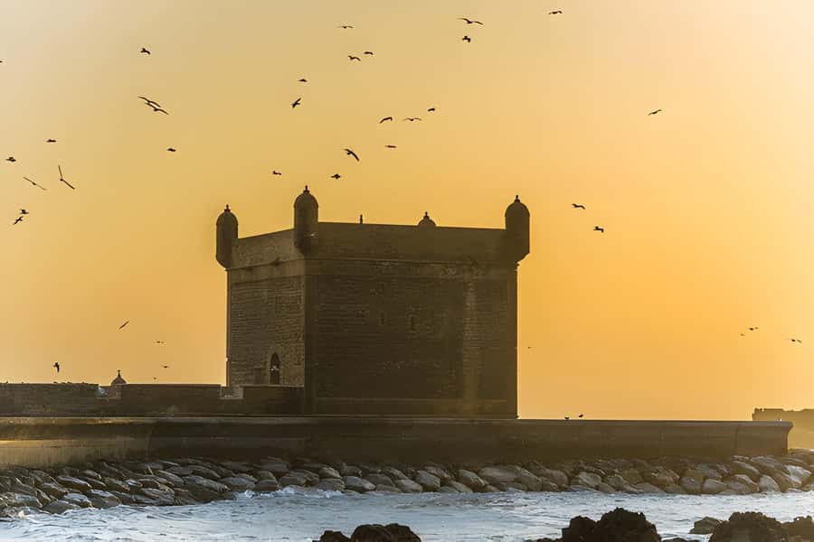 From Marrakech: Essaouira day Trip with camel, horse & quad - Value for money: is $20 a smart deal?