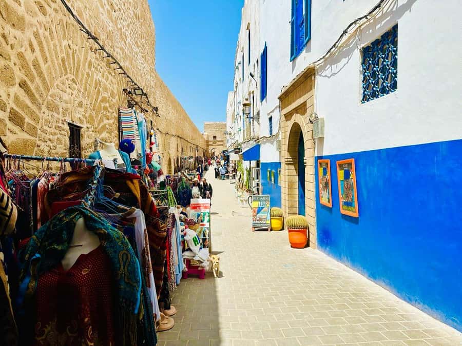 From Marrakech: Essaouira day Trip with camel, horse & quad - Argan oil stop: how the women’s cooperative visit fits in