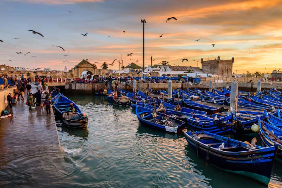 From Marrakech: Essaouira Day Trip with Hotel Pickup - Should you book this day trip?