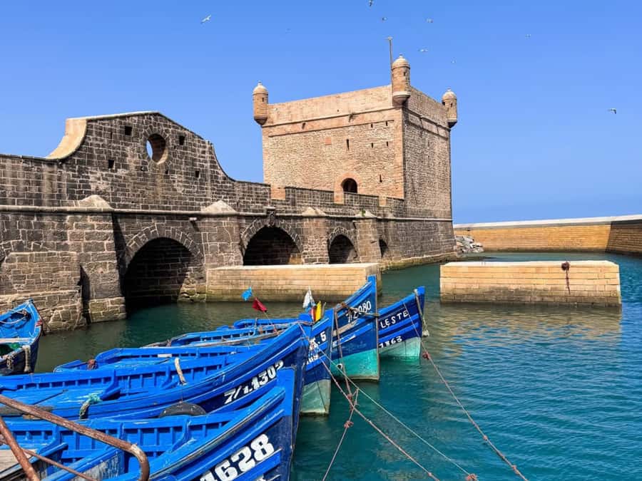 From Marrakech: Essaouira Full day trip, beach and History - Key highlights you will feel right away
