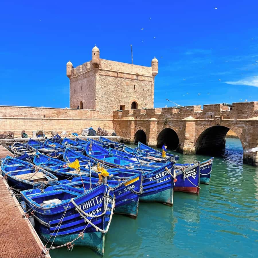 From Marrakech: Essaouira Full day trip, beach and History - The long drive to Essaouira, and why it still works