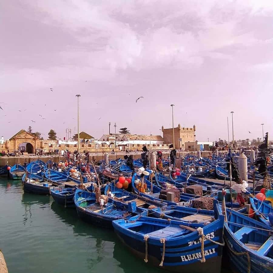 From Marrakech: Essaouira Full day trip, beach and History - Ramparts, fortifications, and bronze cannons over the Atlantic
