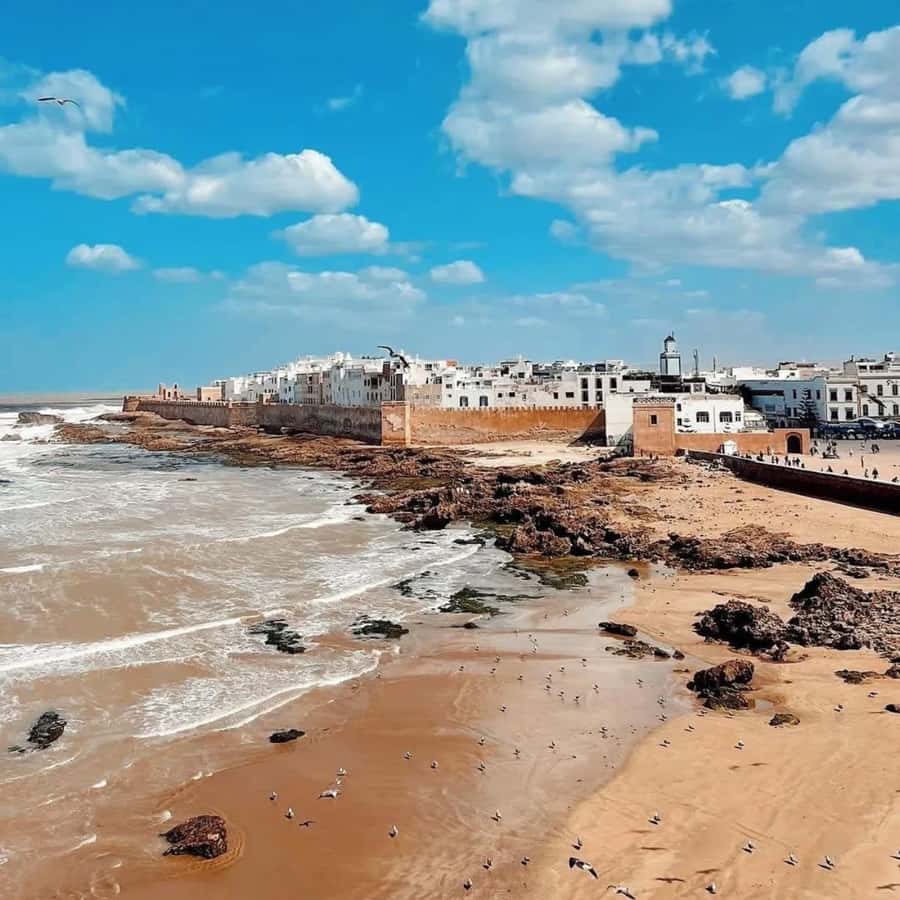 From Marrakech: Essaouira Full day trip, beach and History - Beach time: how to make it restful instead of rushed