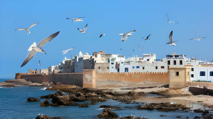 From Marrakech: Essaouira Private Full-Day Trip - Why Essaouira feels like its own world