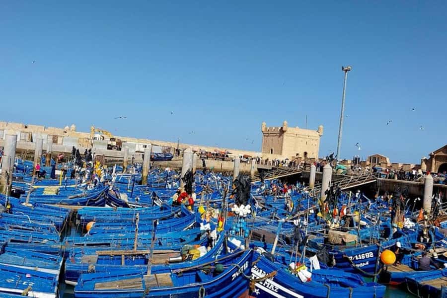 From Marrakech: Essaouira Private Full-Day Trip - Portuguese medina streets and the red-wall walk