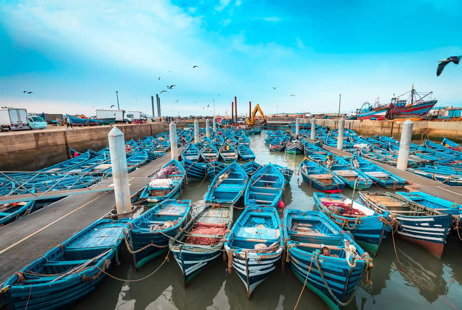 From Marrakech: Essaouira Private Full-Day Trip - Private guide and driver: why names matter