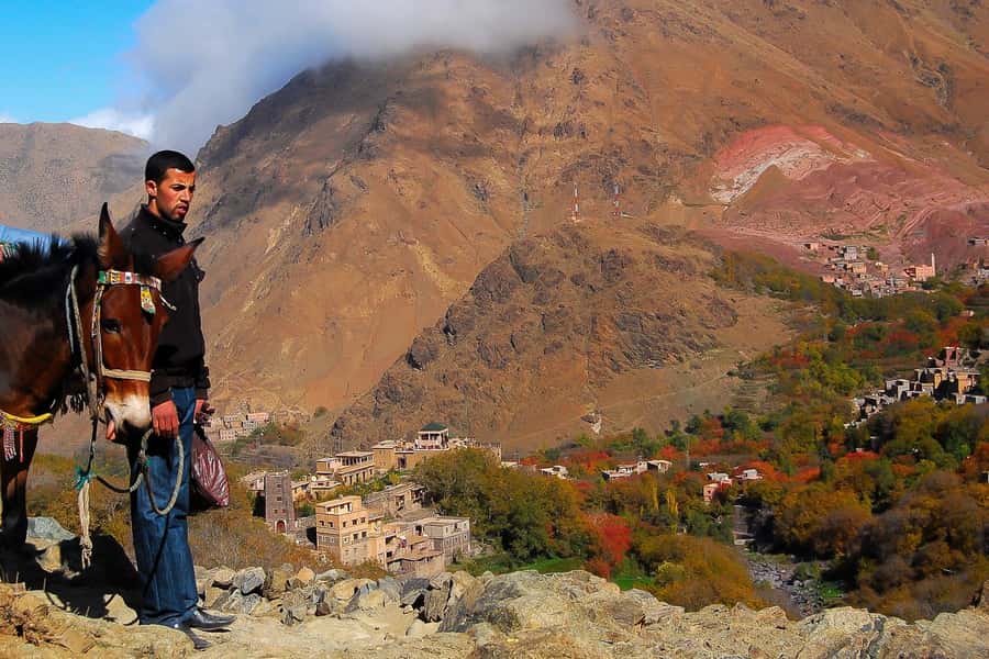 From Marrakech: Full-Day Atlas Mountain Berber Tour - How the Marrakech-to-High Atlas drive shapes your day