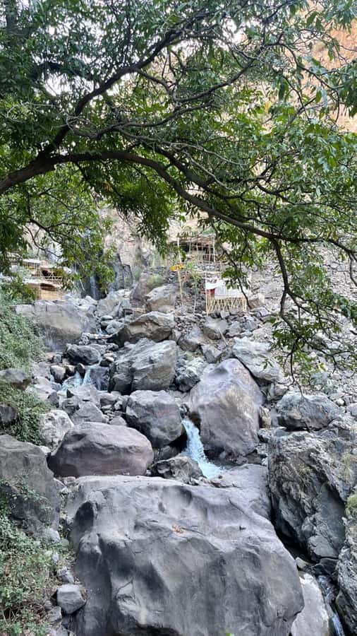 From Marrakech: Full-Day in the Atlas Mountains with Lunch - Key highlights worth your attention