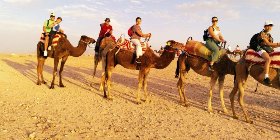 From Marrakech: Full-Day in the Atlas Mountains with Lunch - Safety and Comfort Notes Before You Go
