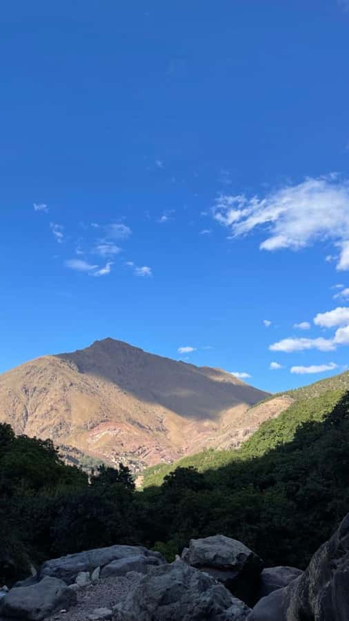 From Marrakech: Full-Day in the Atlas Mountains with Lunch - Agafay Desert Break and Optional Extras: Confirm What You’ll Do