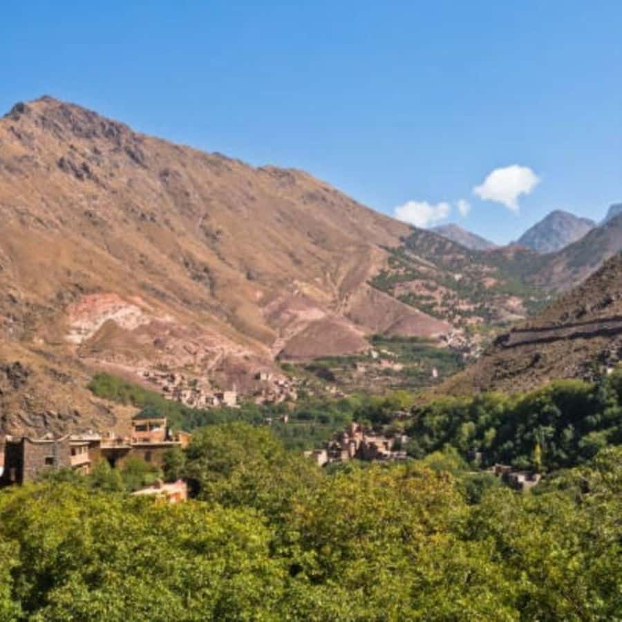 From Marrakech: Full-Day in the Atlas Mountains with Lunch - Mint Tea, Family House Tea, and Photo Stops That Actually Fit