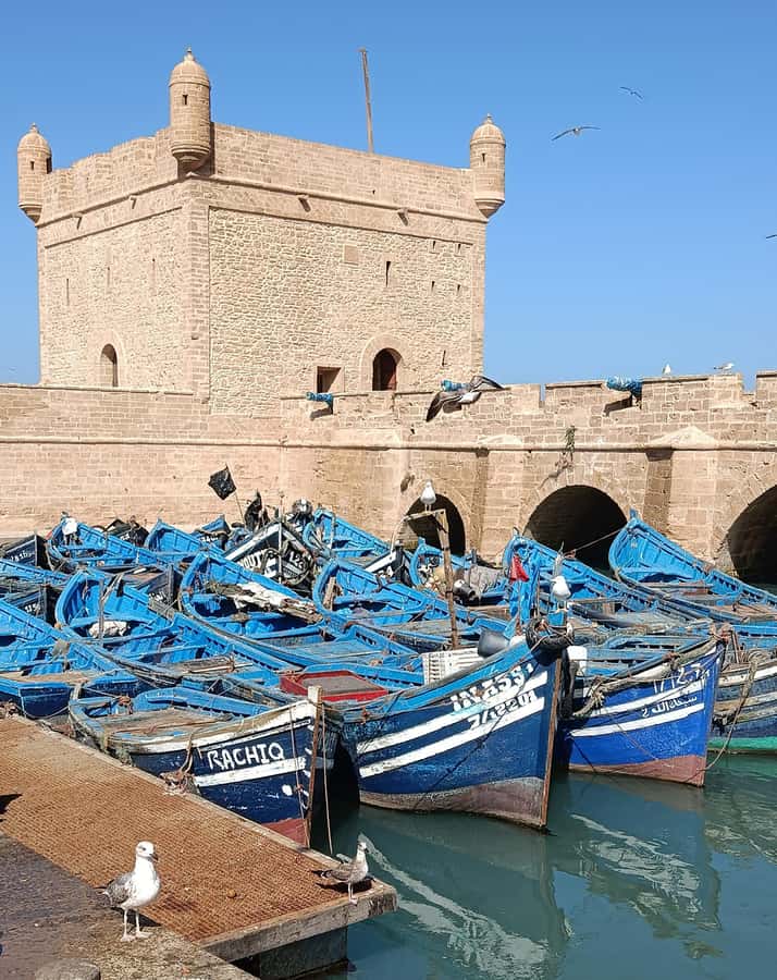 From Marrakech : Full Day Trip to Essaouira - Old Medina Time: Blue Lanes, Craft Shops, and How to Spend Your Five Hours