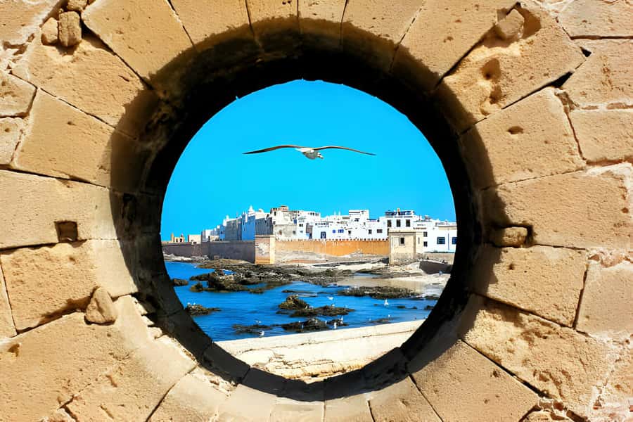 From Marrakech : Full Day Trip to Essaouira - The Driver Part: Why Ayoub and Chafik Stand Out in Real Days