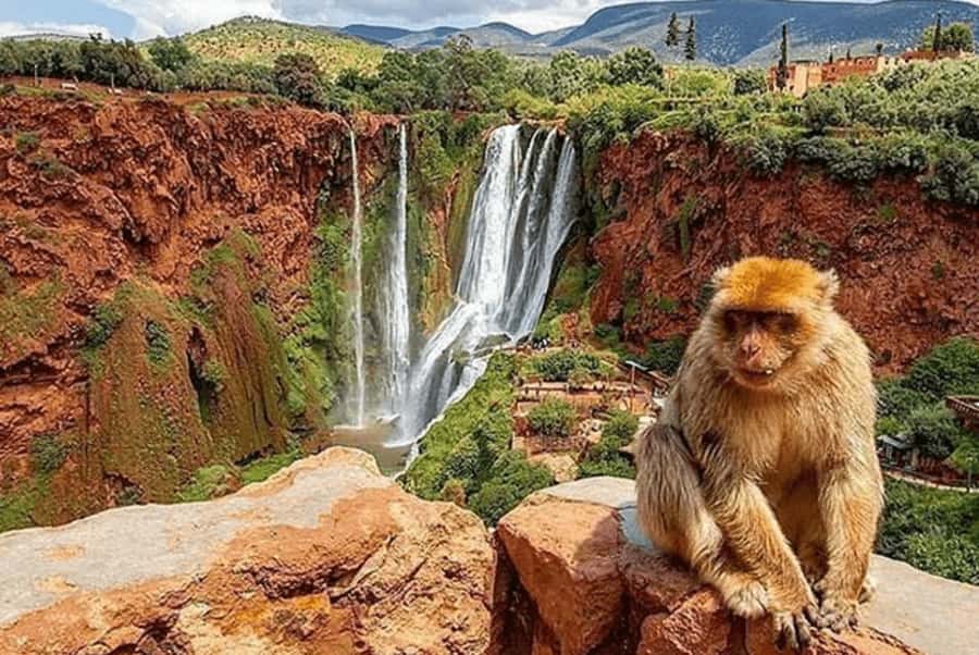 From Marrakech: Guided Ouzoud Waterfalls Tour with Boat Ride - Ouzoud Waterfalls: why this day trip beats the usual Marrakech routine