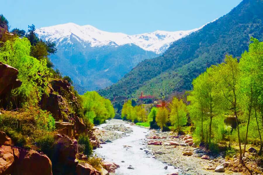 From Marrakech: Half-Day Tour to Atlas Mountains & Ourika - Key points