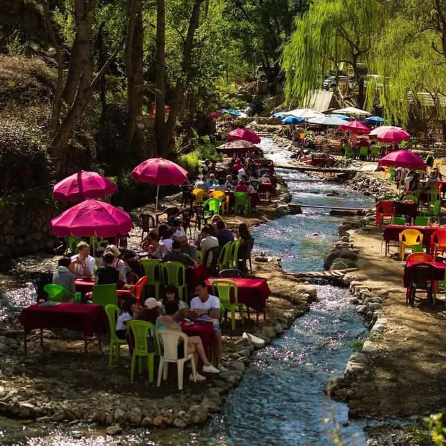 From Marrakech: Half-Day Tour to Atlas Mountains & Ourika - The argan co-operative stop: what makes it worth the time