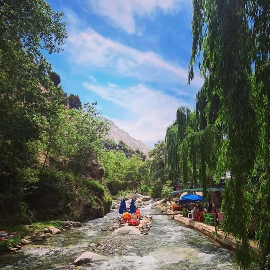 From Marrakech: Half-Day Tour to Atlas Mountains & Ourika - Who this tour suits best