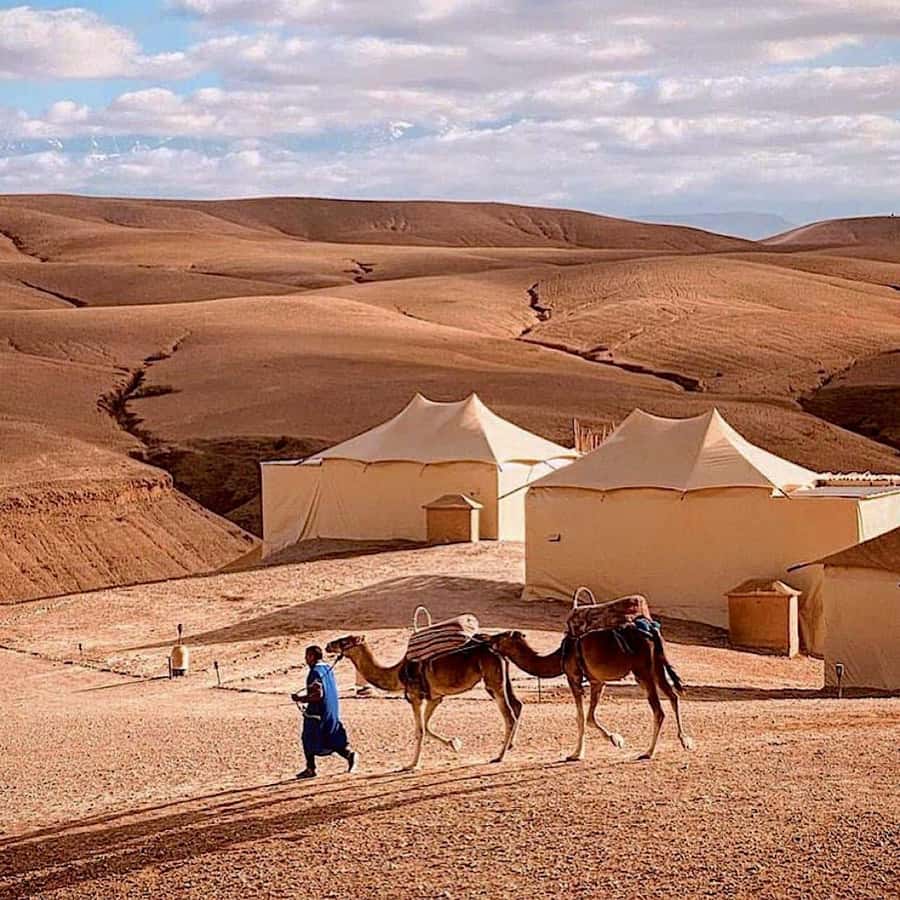 From Marrakech: High Atlas Mountains and 4 Valleys Day Trip - Imlil Valley waterfalls, optional walk, and argan oil extraction