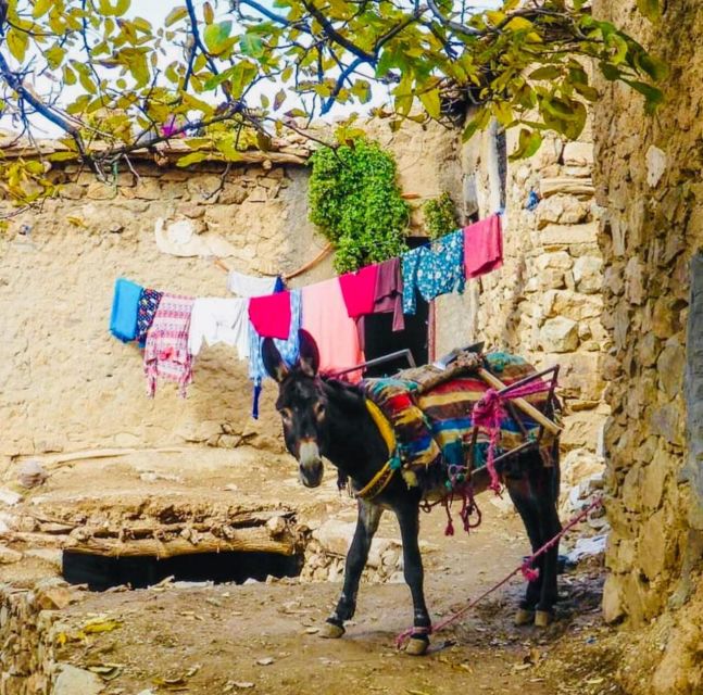 From Marrakech: Imlil Village and Kik Plateau Day Trip - Lunch in Tagadirt: Optional Moroccan Meal at an Amazigh Family Home